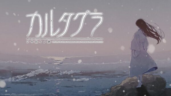 Cartagra am 25.12. für Switch: VN-Boom, Zensur, Chancen 1 CARTAGRA-Switch