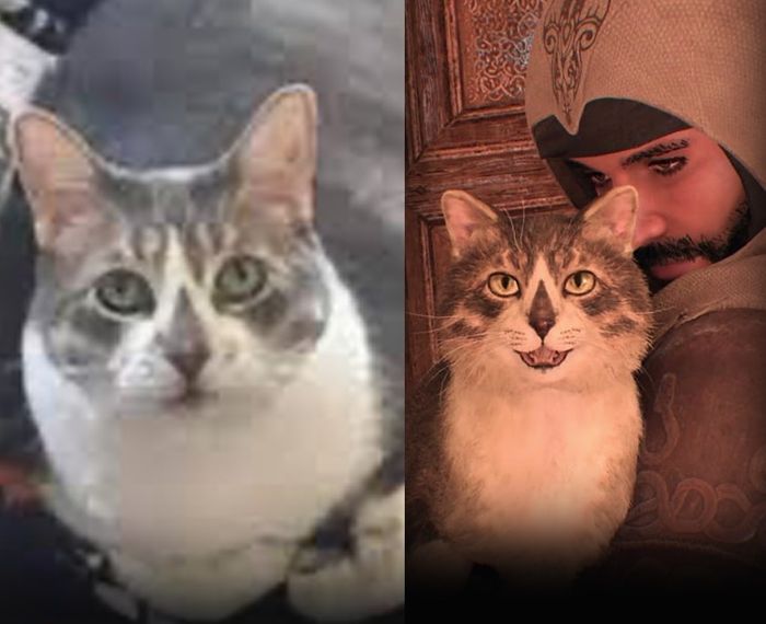 Ubisoft verewigt Fan-Katze in Assassin’s Creed Mirage